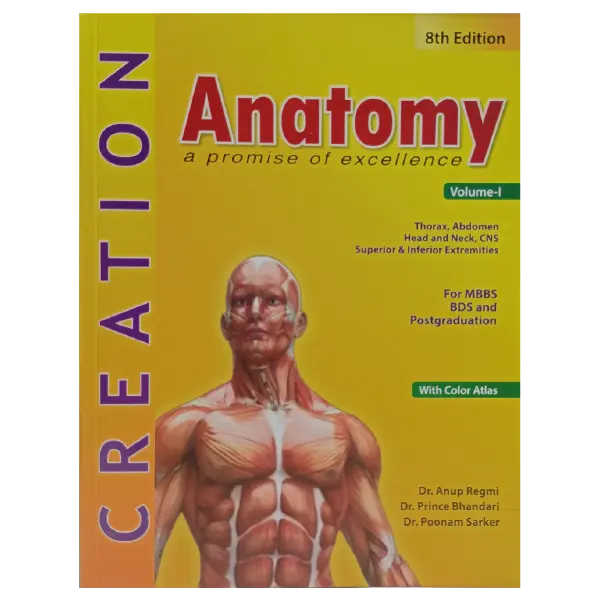 Creation Anatomy