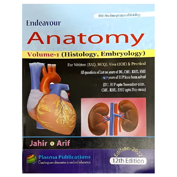 Endeavour Anatomy